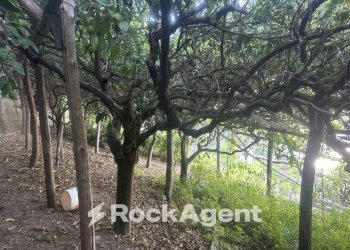 Terreno - Terreno agricolo largo Civita, 10, Ravello - foto 22