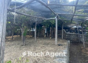 Terreno - Terreno agricolo largo Civita, 10, Ravello - foto 24