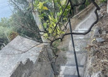 Terreno - Terreno agricolo largo Civita, 10, Ravello - foto 39