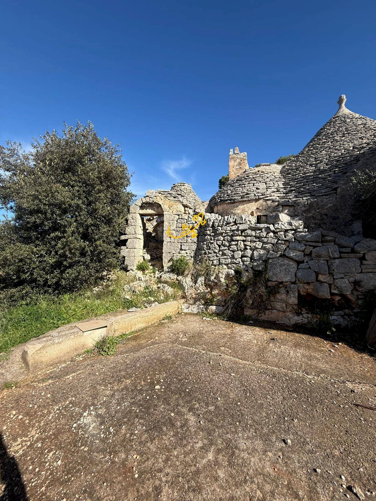 Foto 3 - Rustico Strada Comunale del Rosario, Putignano - foto 3