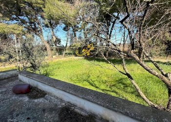 Foto 4 - Rustico Strada Comunale del Rosario, Putignano - foto 4