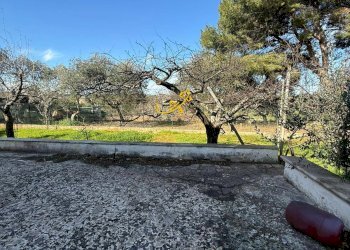 Foto 7 - Rustico Strada Comunale del Rosario, Putignano - foto 7