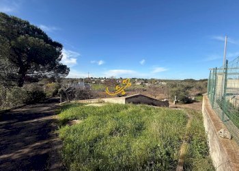 Foto 8 - Rustico Strada Comunale del Rosario, Putignano - foto 8