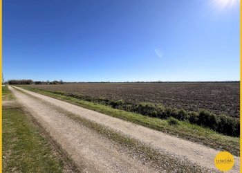 Foto 81 - Casa indipendente Via Castello
 
1/2, Argenta - foto 81