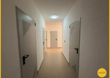 Foto 45 - Monolocale Via Enrico masi
44, Molinella - foto 45