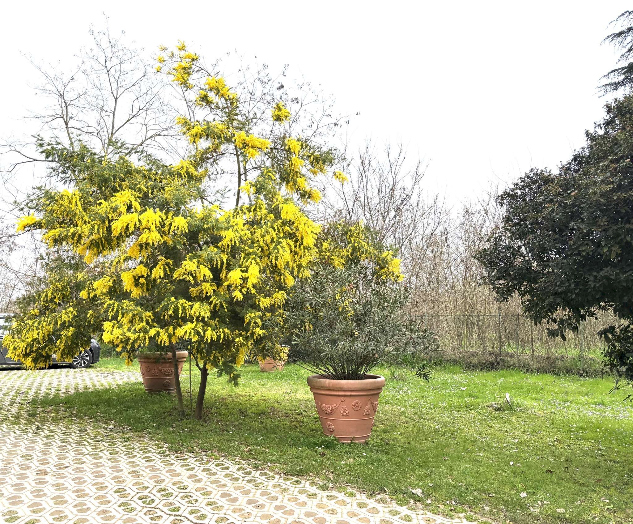 giardino condominiale - Three-room apartment via San Ruffillo, San Lazzaro di Savena - photo 1