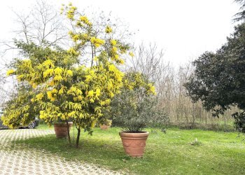 giardino condominiale - Three-room apartment via San Ruffillo, San Lazzaro di Savena - photo 1