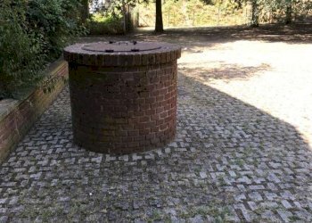 dettagli giardino - Monolocale via Martignone, Valsamoggia - foto 10