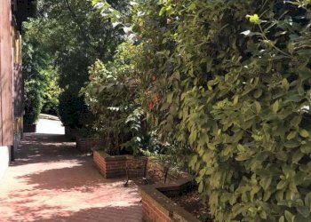 giardino condominiale - Monolocale via Martignone, Valsamoggia - foto 16