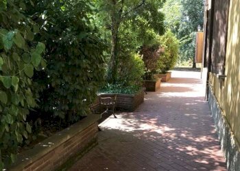 giardino condominiale - Monolocale via Martignone, Valsamoggia - foto 17