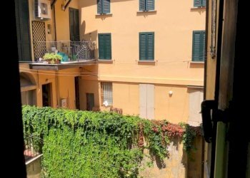 viste giardino - Bilocale via Cartoleria, Bologna (zona Centro Storico) - foto 12