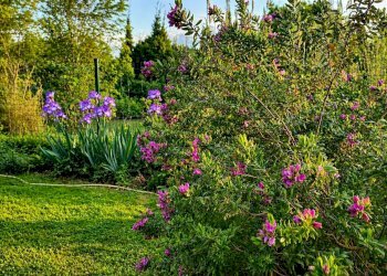 Foto 21 - Appartamento Via Ravenna, Ferrara - foto 21