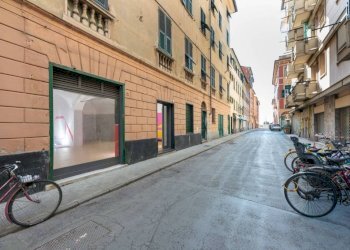 Zona - Negozio via Giovanni Battista Campodonico, 54, Lavagna - foto 32