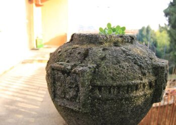 Foto 20 - Villa VIA TRIESTE
 
15, Ponte Lambro - foto 20