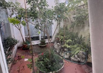 Giardino - Villa a Schiera via Eupoli, Roma - foto 29