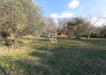 Foto 6 - Villa Strada Felcete, Viterbo - foto 6