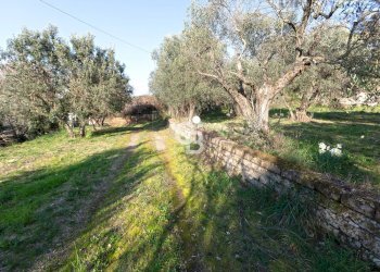 Foto 7 - Villa Strada Felcete, Viterbo - foto 7