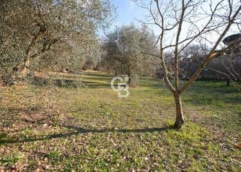 Foto 9 - Villa Strada Felcete, Viterbo - foto 9