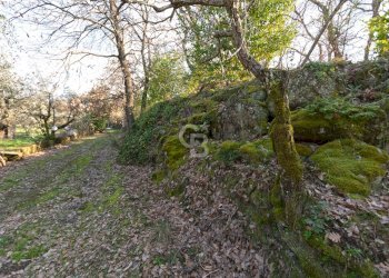 Foto 10 - Villa Strada Felcete, Viterbo - foto 10