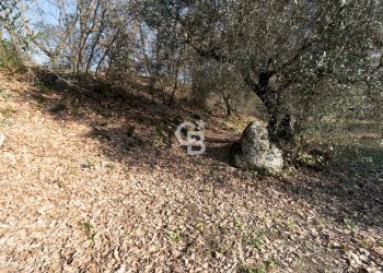 Foto 12 - Villa Strada Felcete, Viterbo - foto 12