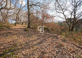 Foto 14 - Villa Strada Felcete, Viterbo - foto 14