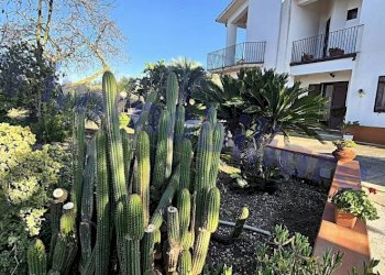 Giardino - Villa SS113, Alcamo - photo 31