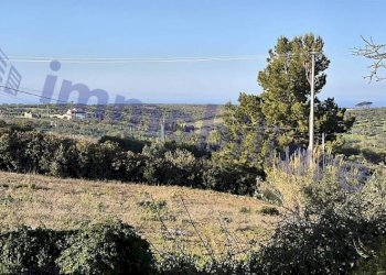 Vista - Villa SS113, Alcamo - foto 35