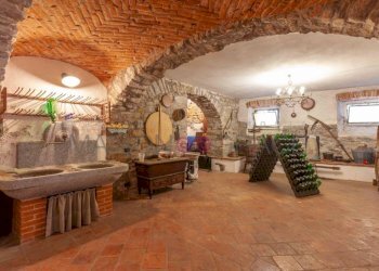 Cantina - Villa piazza Vittorio Emanuele II, 1, Vesime - foto 43