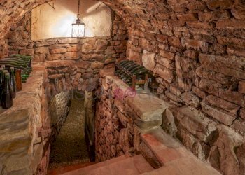 Cantina - Villa piazza Vittorio Emanuele II, 1, Vesime - foto 45