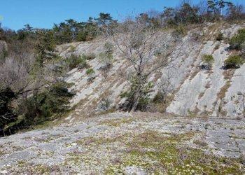 Terreno - Monolocale Frazione Villaggio del Pescatore, 34, Duino-Aurisina - foto 22