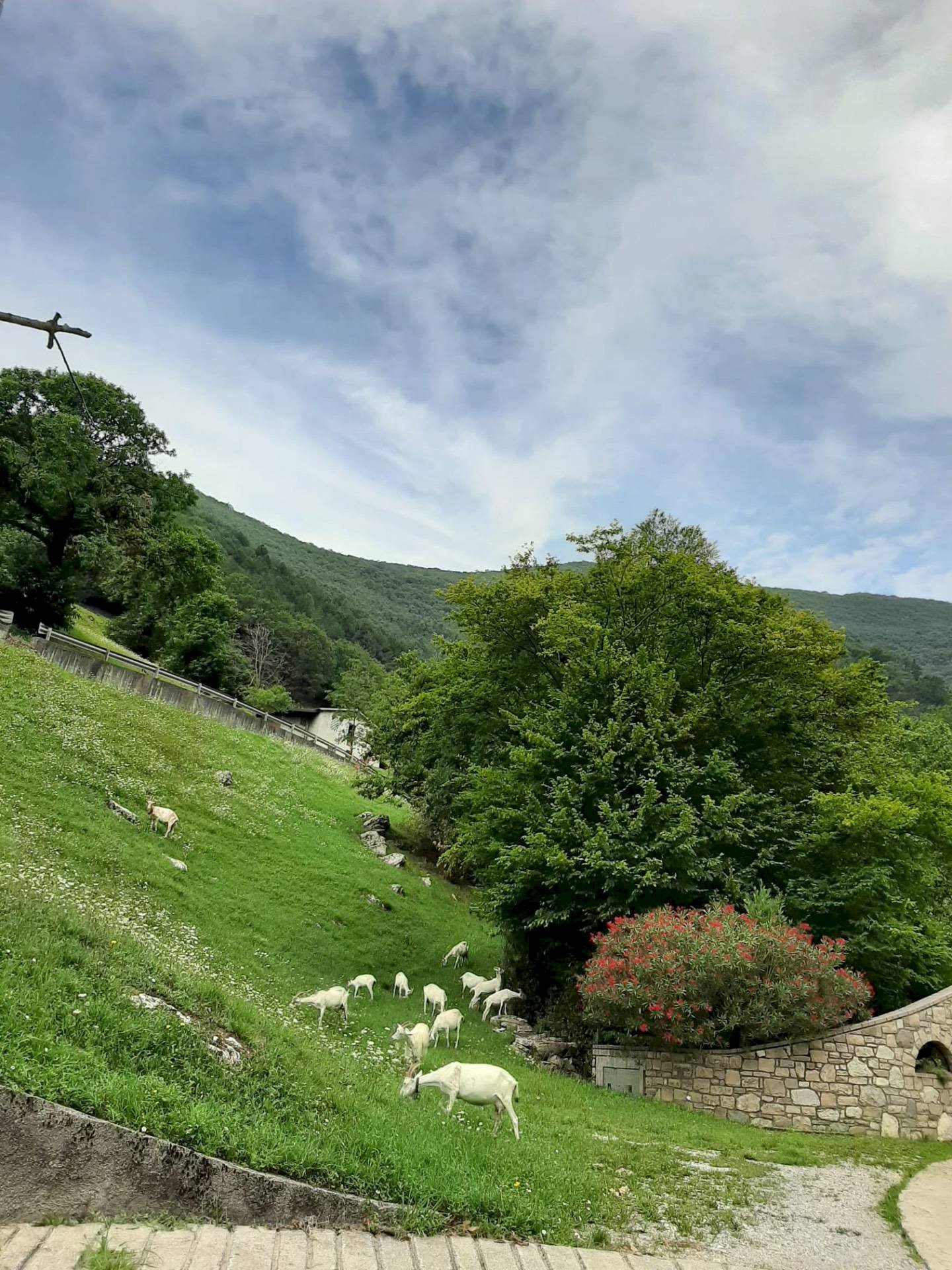 Foto 2 - Trilocale VIA LERANO
SNC, Viadanica - foto 2