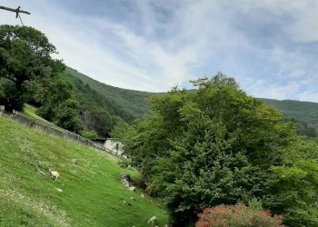 Foto 2 - Trilocale VIA LERANO
 
SNC, Viadanica - foto 2