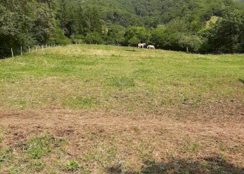 Foto 8 - Trilocale VIA LERANO
 
SNC, Viadanica - foto 8