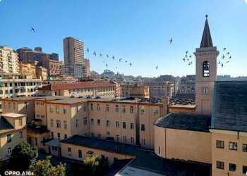 Foto 1 - Appartamento Via Carlo Rolando, Genova - foto 1