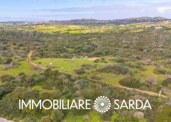 Foto 7 - Building land Statale 133bis di Palau, Santa Teresa Gallura - photo 7