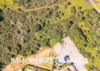 Foto 12 - Building land Statale 133bis di Palau, Santa Teresa Gallura - photo 12