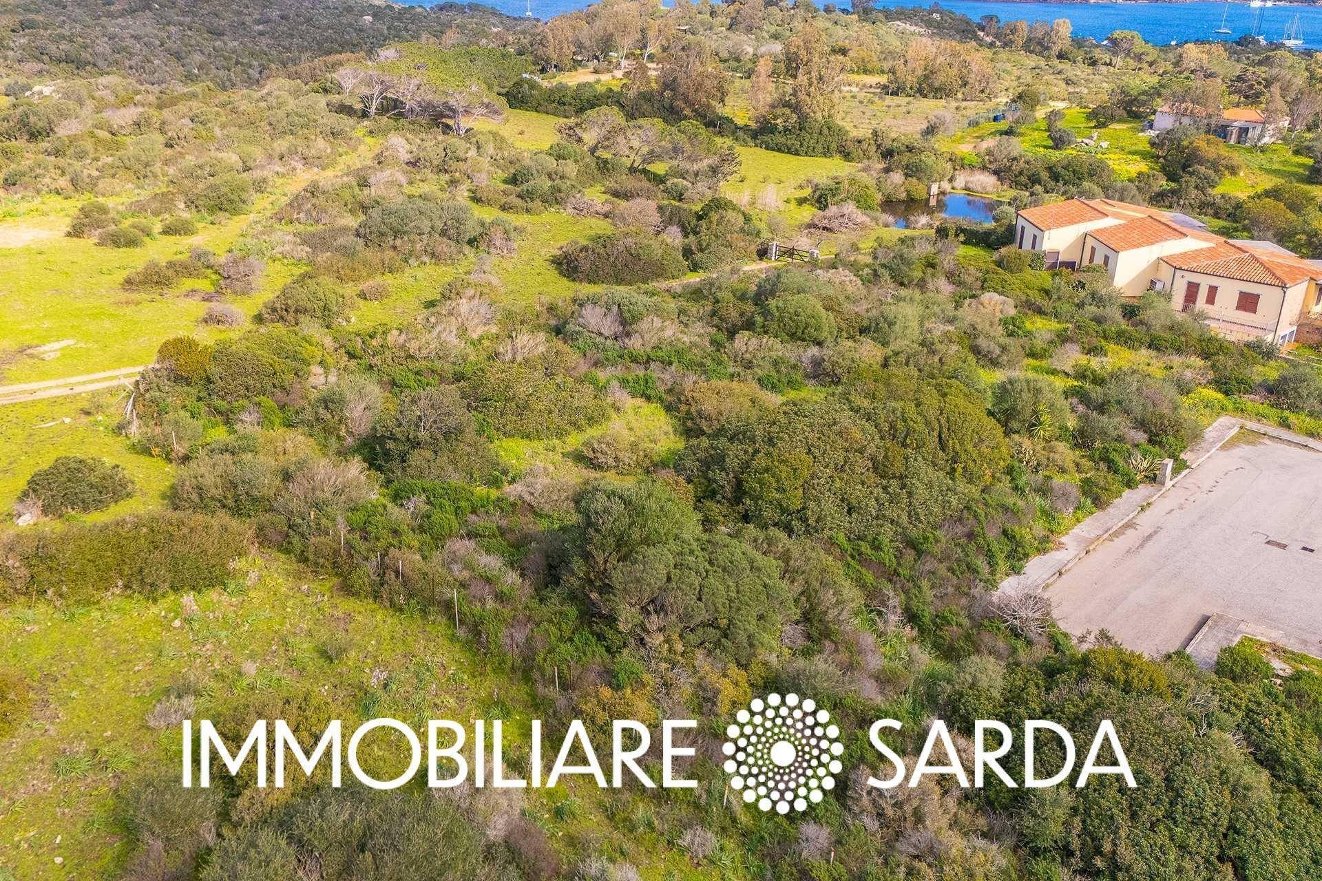 Foto 3 - Building land Statale 133bis di Palau, Santa Teresa Gallura - photo 3