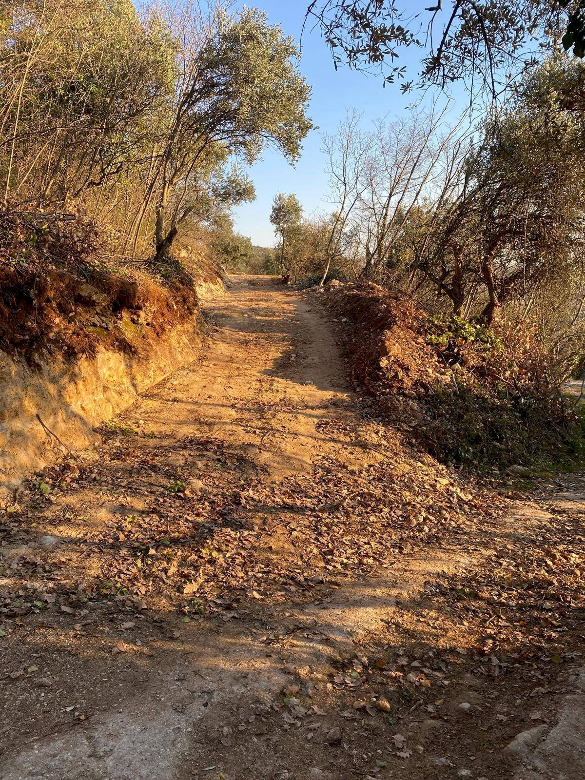 Foto 1 - Terreno agricolo Via Ca' Nove Ronchi, Verona - foto 1