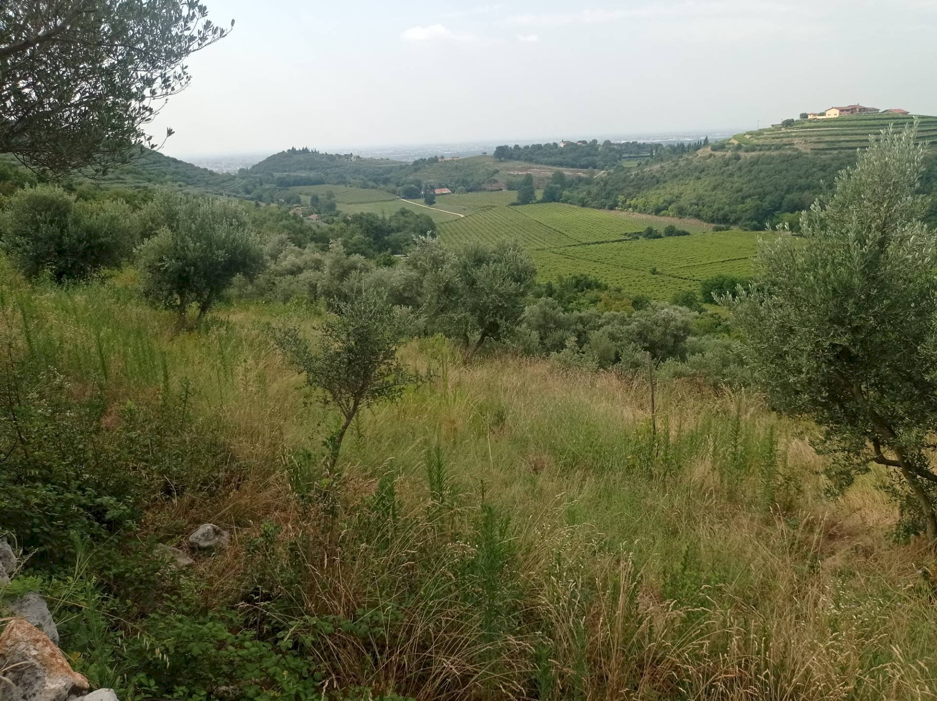 Foto 2 - Terreno agricolo Via Ca' Nove Ronchi, Verona - foto 2