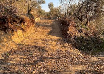 Foto 1 - Terreno agricolo Via Ca' Nove Ronchi, Verona - foto 1