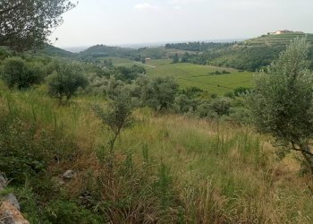 Foto 2 - Terreno agricolo Via Ca' Nove Ronchi, Verona - foto 2