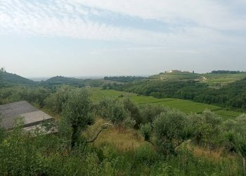 Foto 5 - Terreno agricolo Via Ca' Nove Ronchi, Verona - foto 5