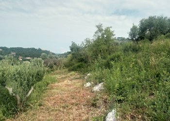 Foto 6 - Terreno agricolo Via Ca' Nove Ronchi, Verona - foto 6