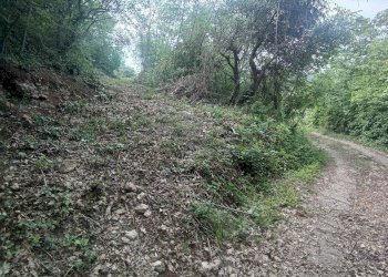 Foto 10 - Terreno agricolo Via Ca' Nove Ronchi, Verona - foto 10