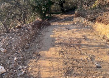 Foto 12 - Terreno agricolo Via Ca' Nove Ronchi, Verona - foto 12