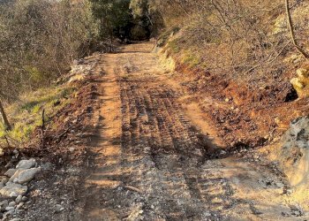 Foto 13 - Terreno agricolo Via Ca' Nove Ronchi, Verona - foto 13