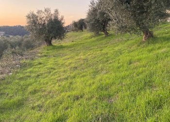 Foto 14 - Terreno agricolo Via Ca' Nove Ronchi, Verona - foto 14