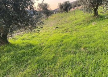 Foto 15 - Terreno agricolo Via Ca' Nove Ronchi, Verona - foto 15