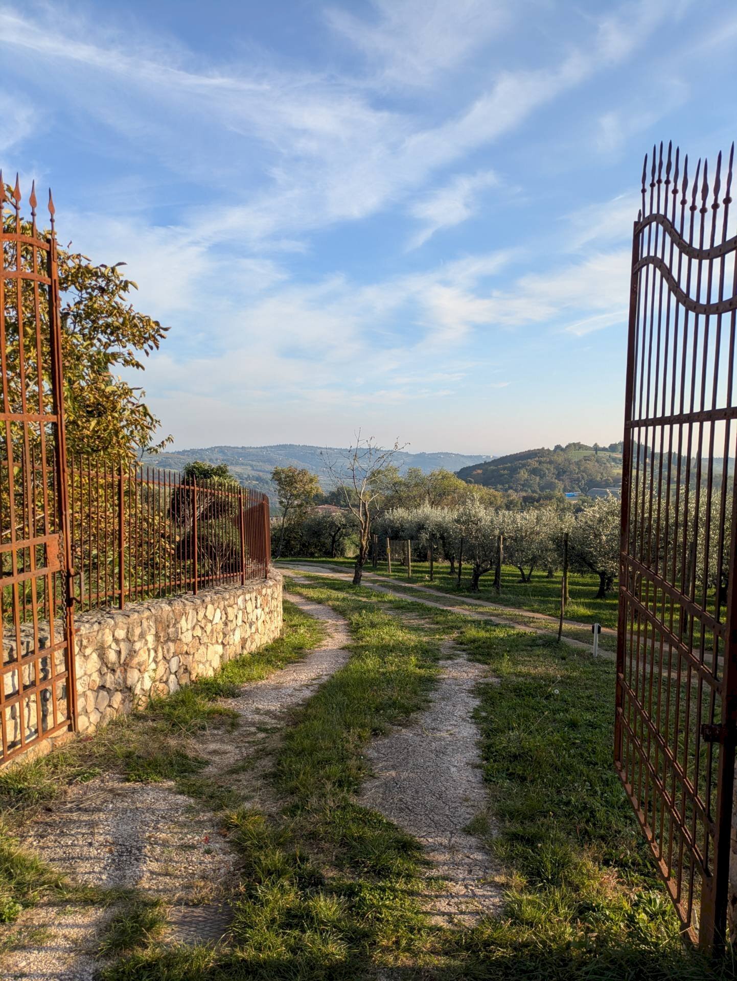 Foto 3 - Villa Via Volte Maso
25/f, Verona - foto 3