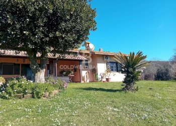 Foto 18 - Villa Via di Rocca Romana
 
329, Sutri - photo 18